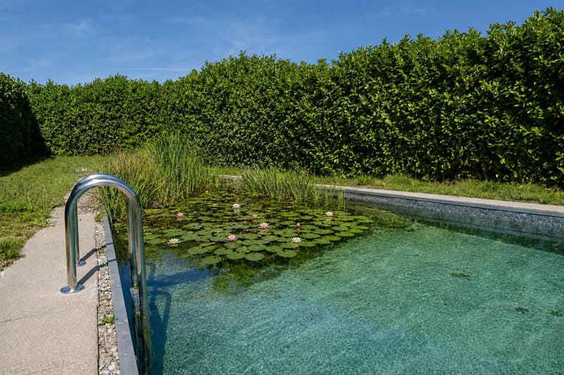 Traumvilla mit Naturpool und Weitsicht (8)