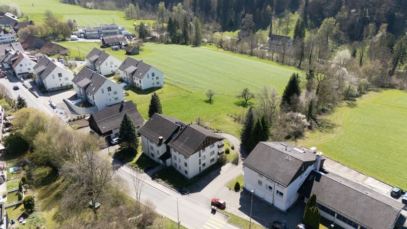 Propriété locative attractive avec mélange de locataires stable (2)