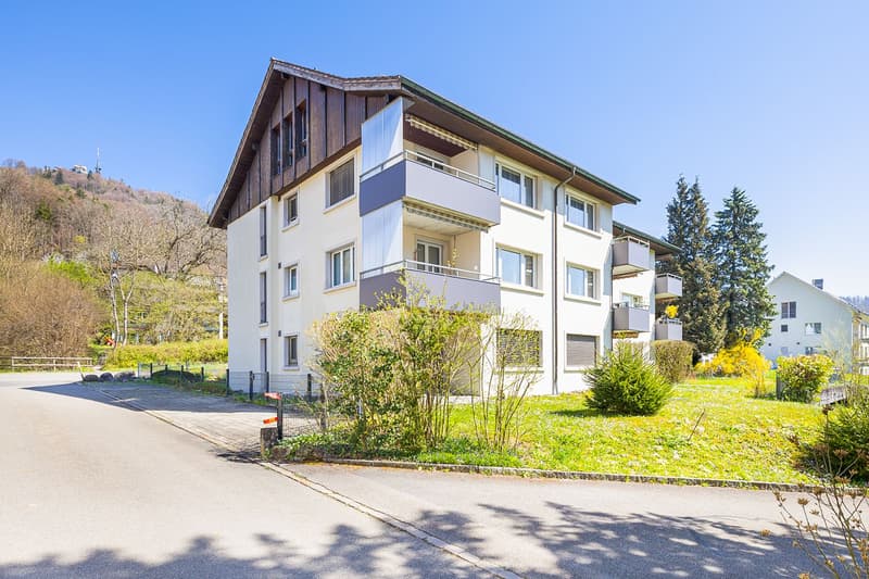 Propriété locative attractive avec mélange de locataires stable (6)