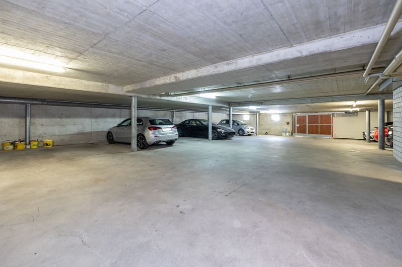 Propriété locative attractive avec mélange de locataires stable (8)