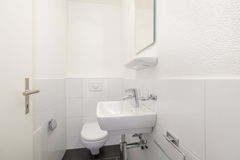 Lichtdurchflutete 4.5 Zimmer-Maisonettewohnung mit Galerie und viel Raum (9)