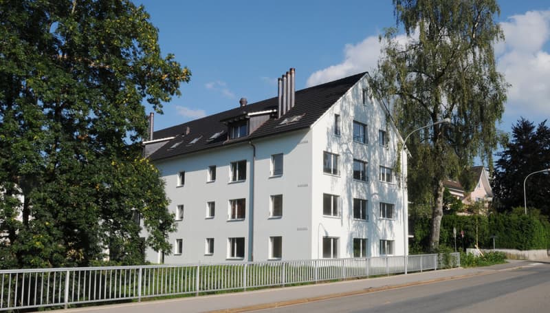 Light-flooded 4.5-room maisonette apartment with gallery and plenty of space (3)