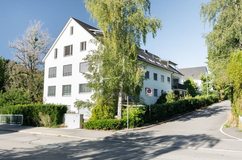 Grosszügige 4.5-Zimmerwohnung mit sonnigem Balkon in Bäretswil (2)