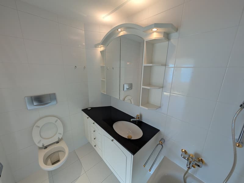 Dreamy 4.5-room apartment in Brunnen with panoramic views of Lake Vierwaldstättersee (reserved) (9)