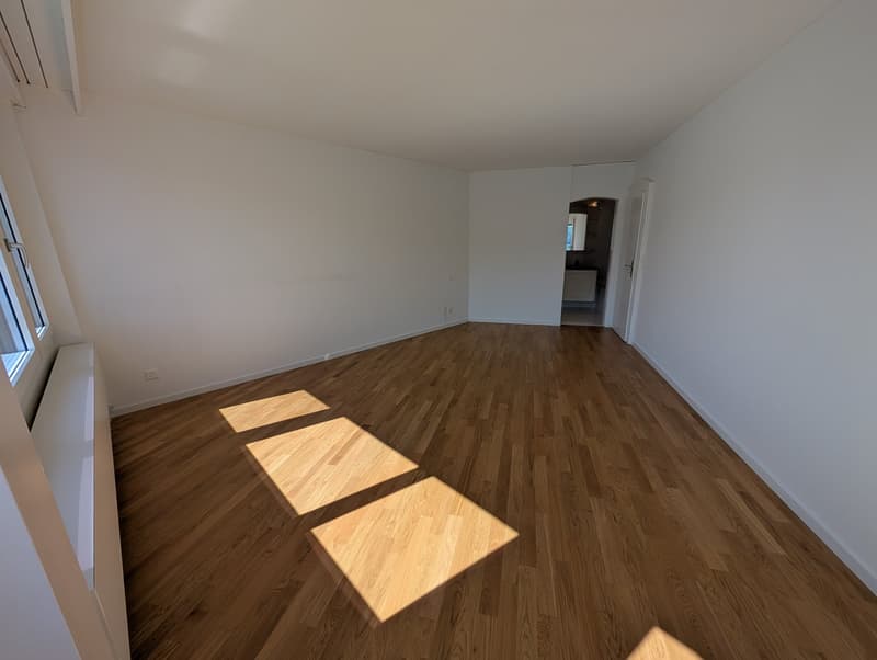 Dreamy 4.5-room apartment in Brunnen with panoramic views of Lake Vierwaldstättersee (reserved) (8)