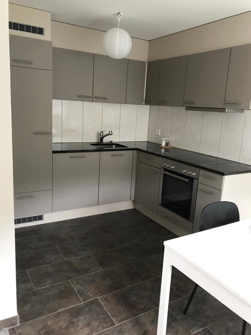 2.5 Zimmer Whg. mit Balkon und toller Seesicht in Feusisberg (3)