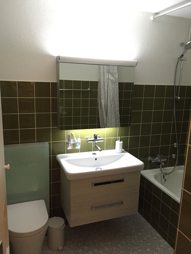 2.5 Zimmer Whg. mit Balkon und toller Seesicht in Feusisberg (7)