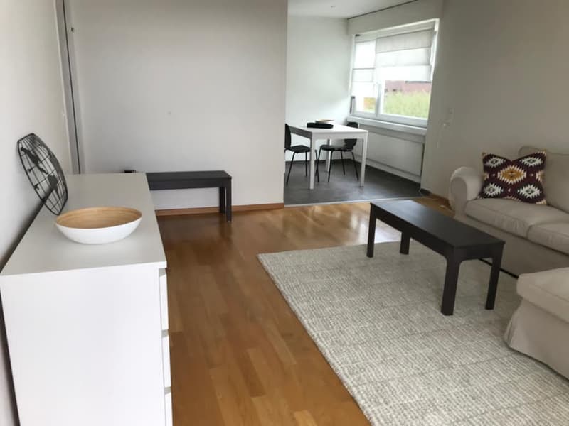 2.5 Zimmer Whg. mit Balkon und toller Seesicht in Feusisberg (6)