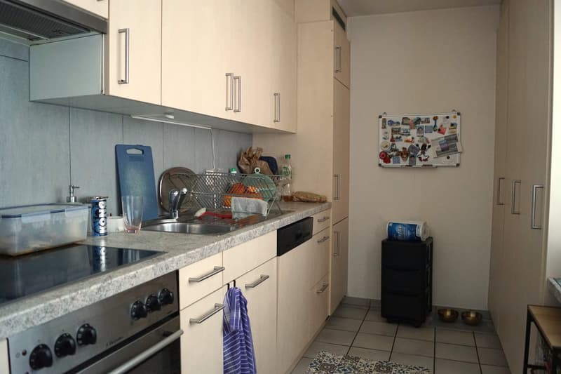 gut erhaltene Wohnung inkl. Garagenbox an attraktiver Wohnlage (4)