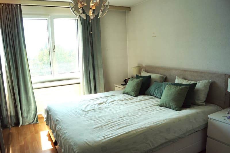 gut erhaltene Wohnung inkl. Garagenbox an attraktiver Wohnlage (5)