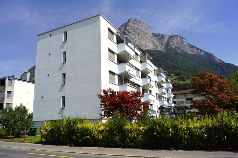 gut erhaltene Wohnung inkl. Garagenbox an attraktiver Wohnlage (1)