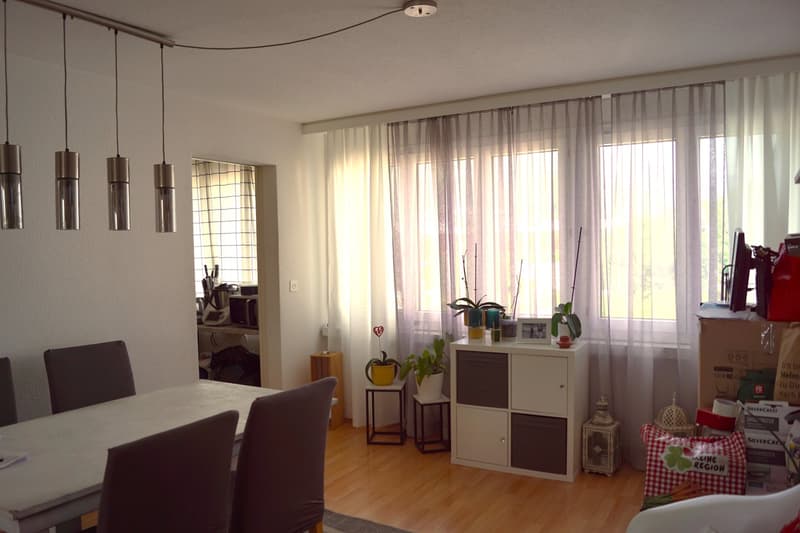 gut erhaltene Wohnung inkl. Garagenbox an attraktiver Wohnlage (3)