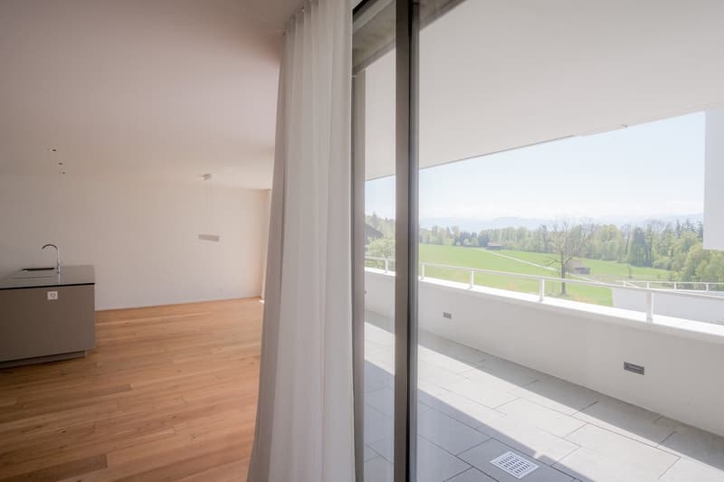 Panorama, Space, Elegance – 3.5-Room Apartment with a View in Uetikon am See (8)