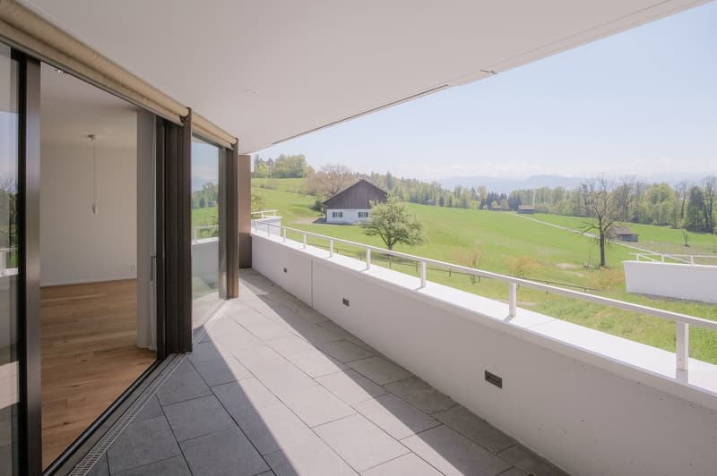 Hochwertige 3.5-Zi-Wohnung mit Panorama-Sicht in Uetikon am See (1)