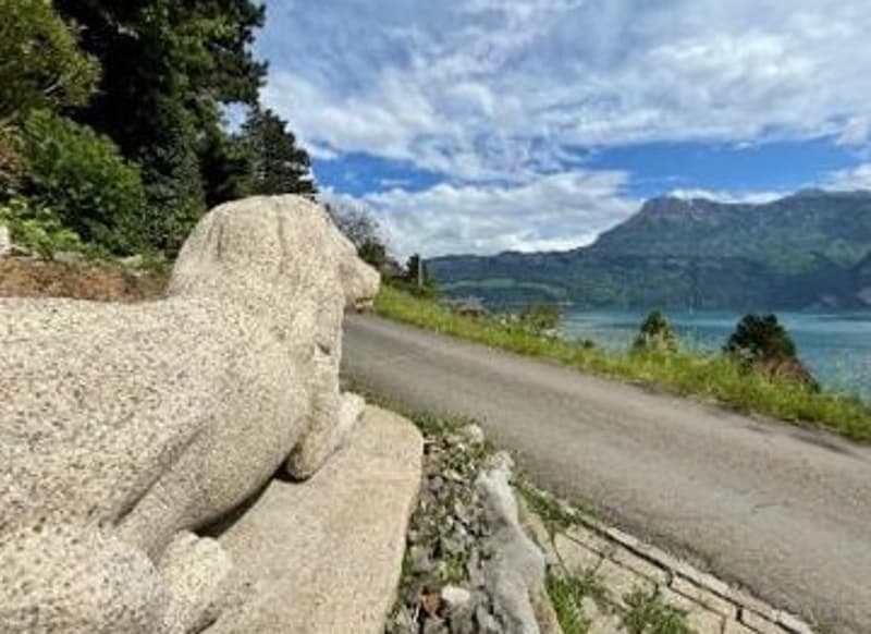 Appartamento in proprietà in una casa a schiera con VISTA LAGO a Gersau/SZ (8)