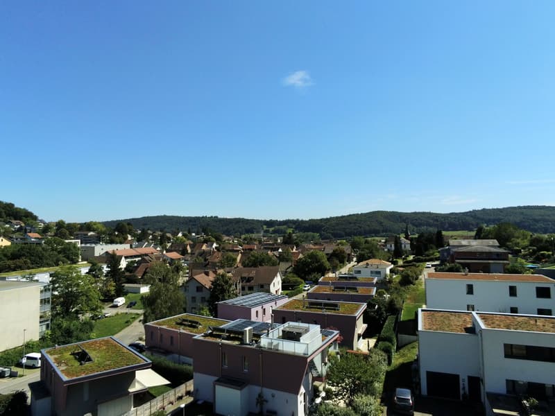 6-room design house with rooftop terrace in Beringen for sale (9)