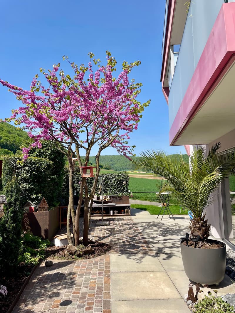 6-room design house with rooftop terrace in Beringen for sale (3)