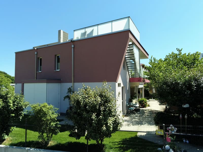 6-Zimmer-Designhaus mit Dachterrasse in Beringen kaufen (2)