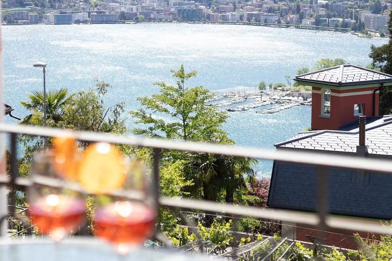 2.5-Zimmer Terrassenwohnung mit Seesicht in Ruvigliana kaufen (1)