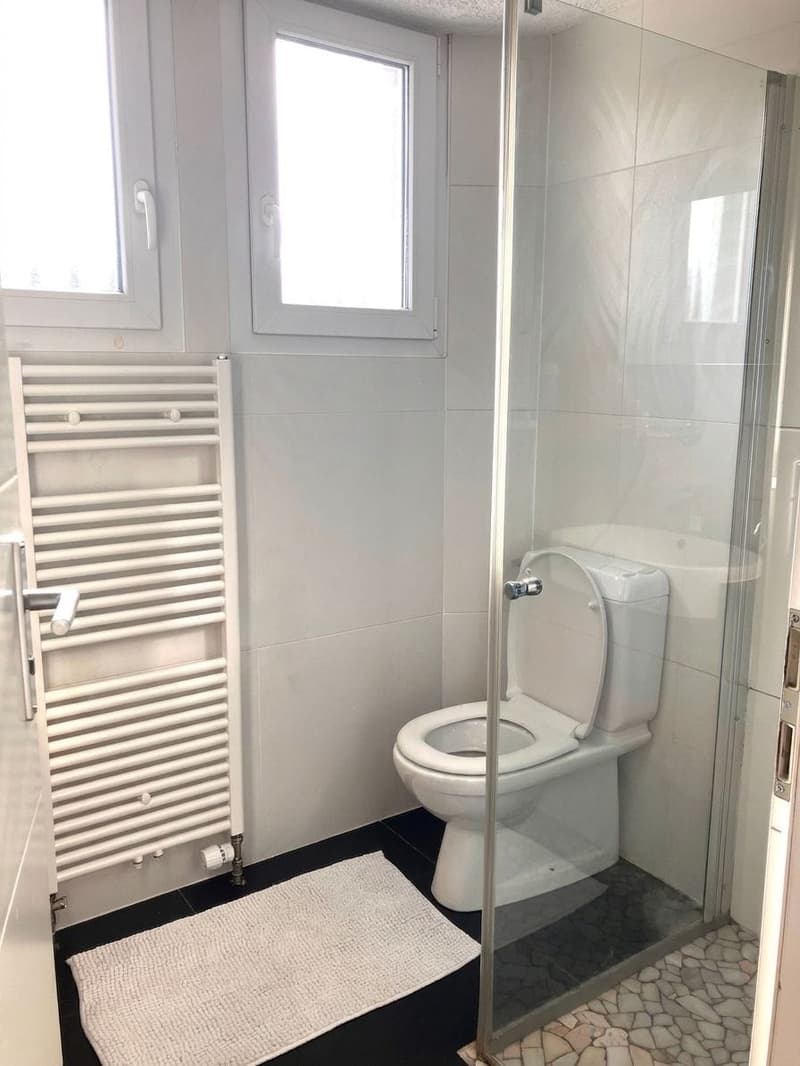 Viel Platz für Familie & Homeoffice - freistehendes 9-Zimmer-Haus mit Garten (8)