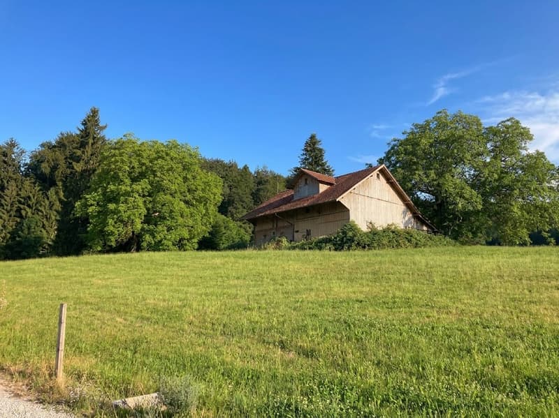 Viel Platz für Ihre Zukunft - Anwesen mit Scheune und Neubaupotenzial in Wittenbach (7)