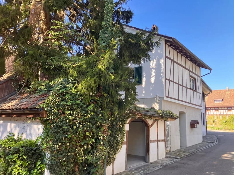 Ein Zuhause mit eigenem Grundstück - und Raum für besondere Ideen (2)