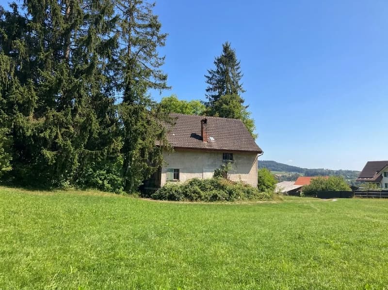 Grundstück 2834 m² mit 9-Zimmer-Neubauprojekt in Wittenbach kaufen (8)