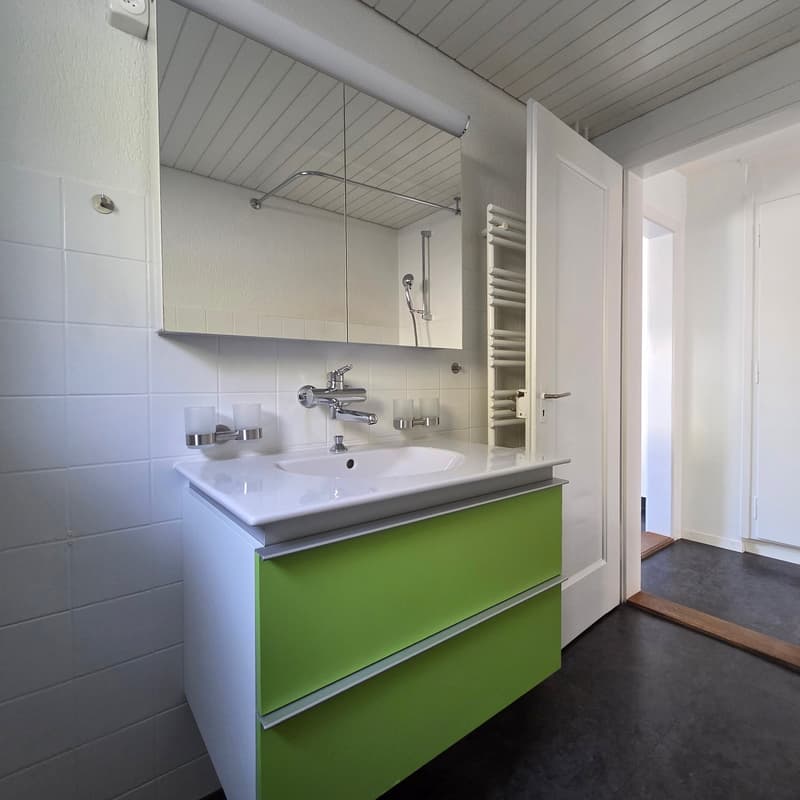white sink, green cabinet, mirror, white tiles, shower head