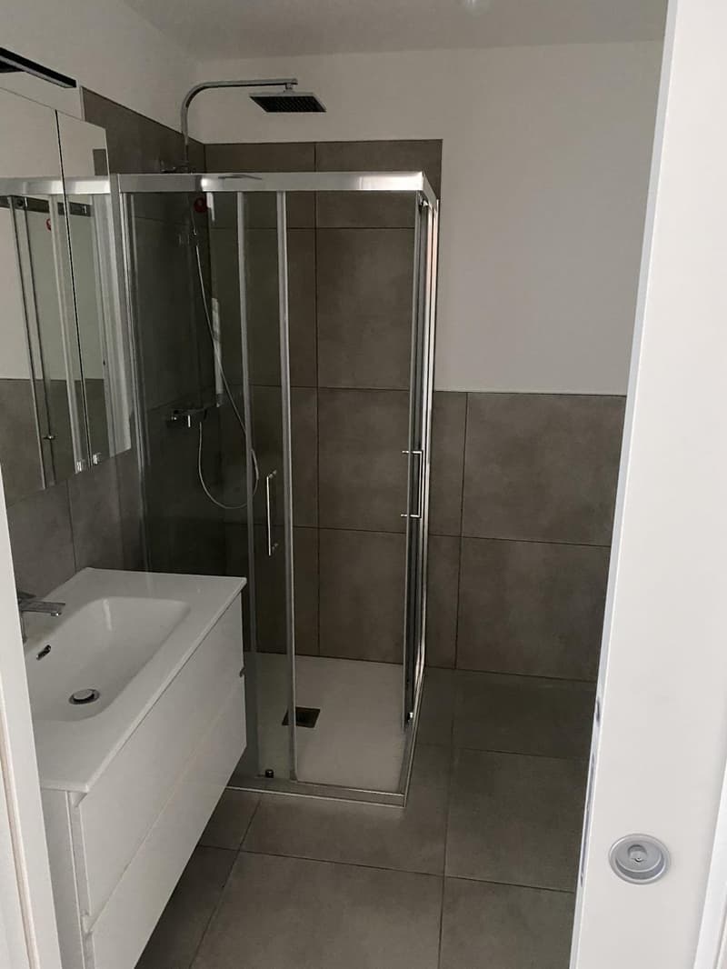 Appartement moderne à Cevio avec vue panoramique (6)