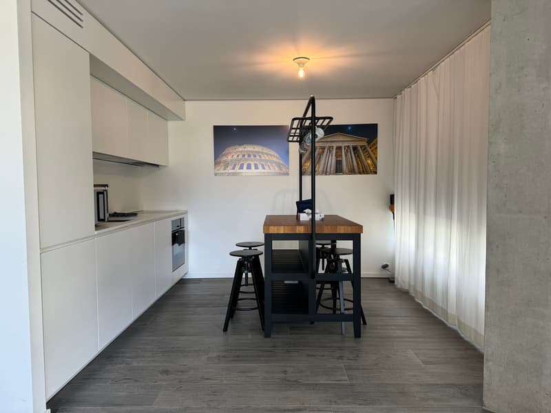 Appartement moderne meublé avec vue sur le lac à Locarno (2)