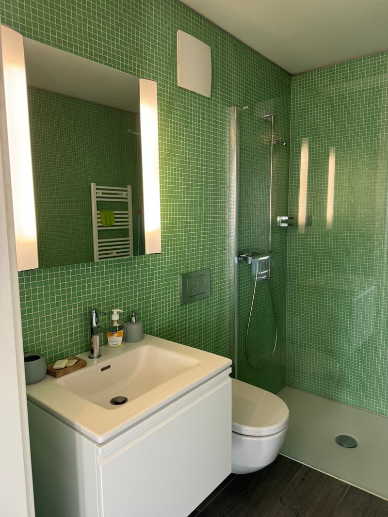 Appartement moderne meublé avec vue sur le lac à Locarno (6)