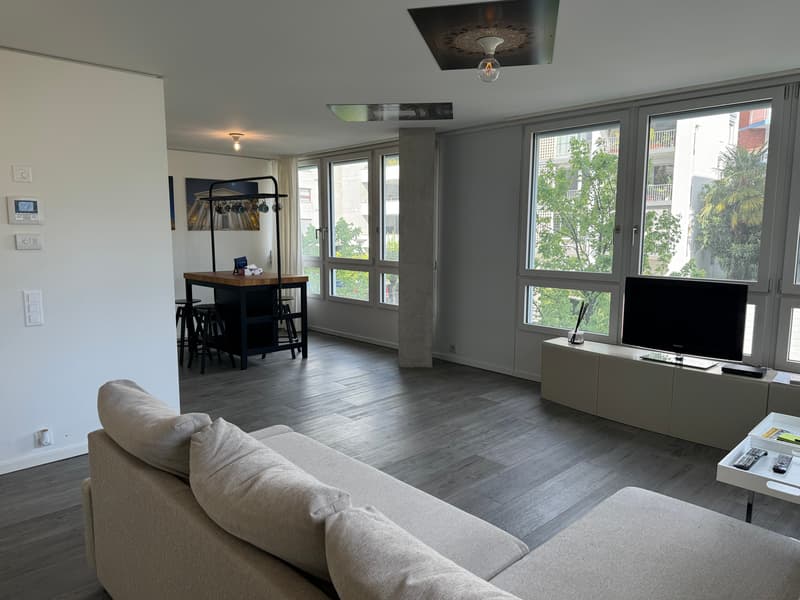 Appartement moderne meublé avec vue sur le lac à Locarno (3)