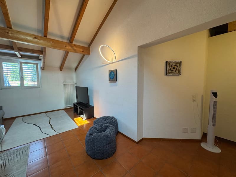 Appartement mit guter Rendite - erste oder zweite Wohnung (4)
