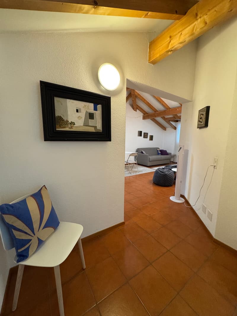 Appartement mit guter Rendite - erste oder zweite Wohnung (7)