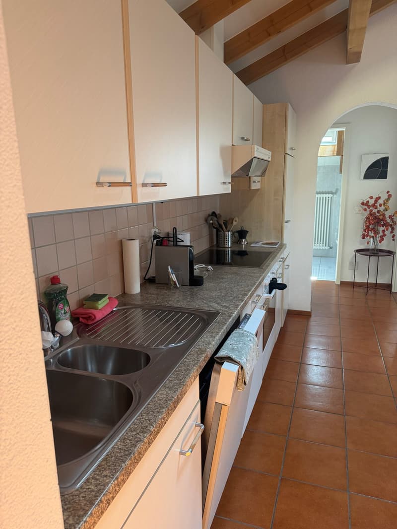 Appartement mit guter Rendite - erste oder zweite Wohnung (8)