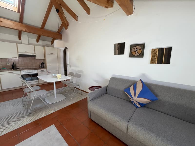 Appartement mit guter Rendite - erste oder zweite Wohnung (5)