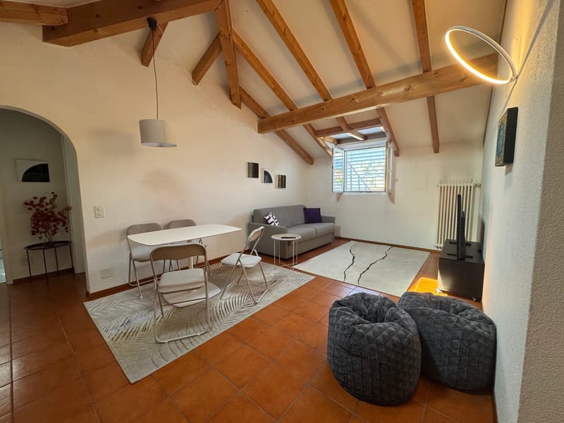 Appartement mit guter Rendite - erste oder zweite Wohnung (2)