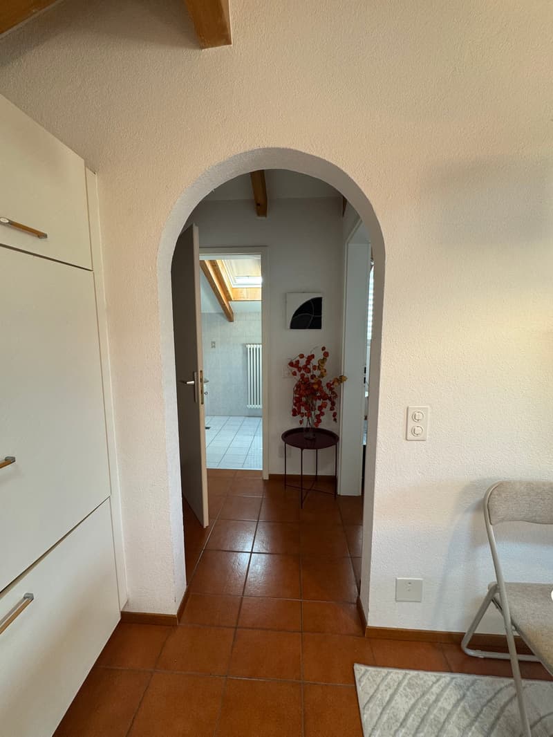 Appartement mit guter Rendite - erste oder zweite Wohnung (6)