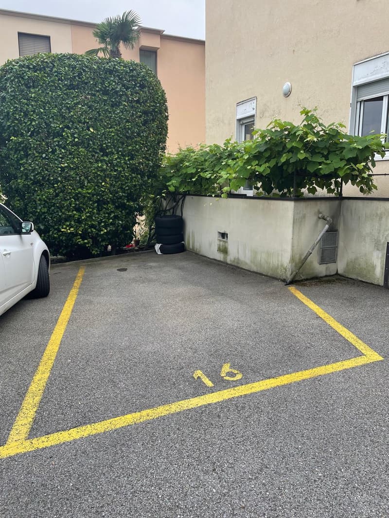 Wohnung mit 4.5 Zimmern in Brissago, nahe am See - hervorragendes Investitionsvorhaben (19)