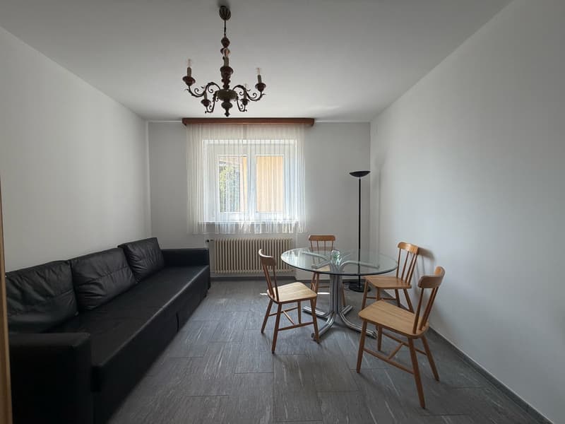 Appartement meublé avec vue panoramique à Brione sopra Minusio (1)
