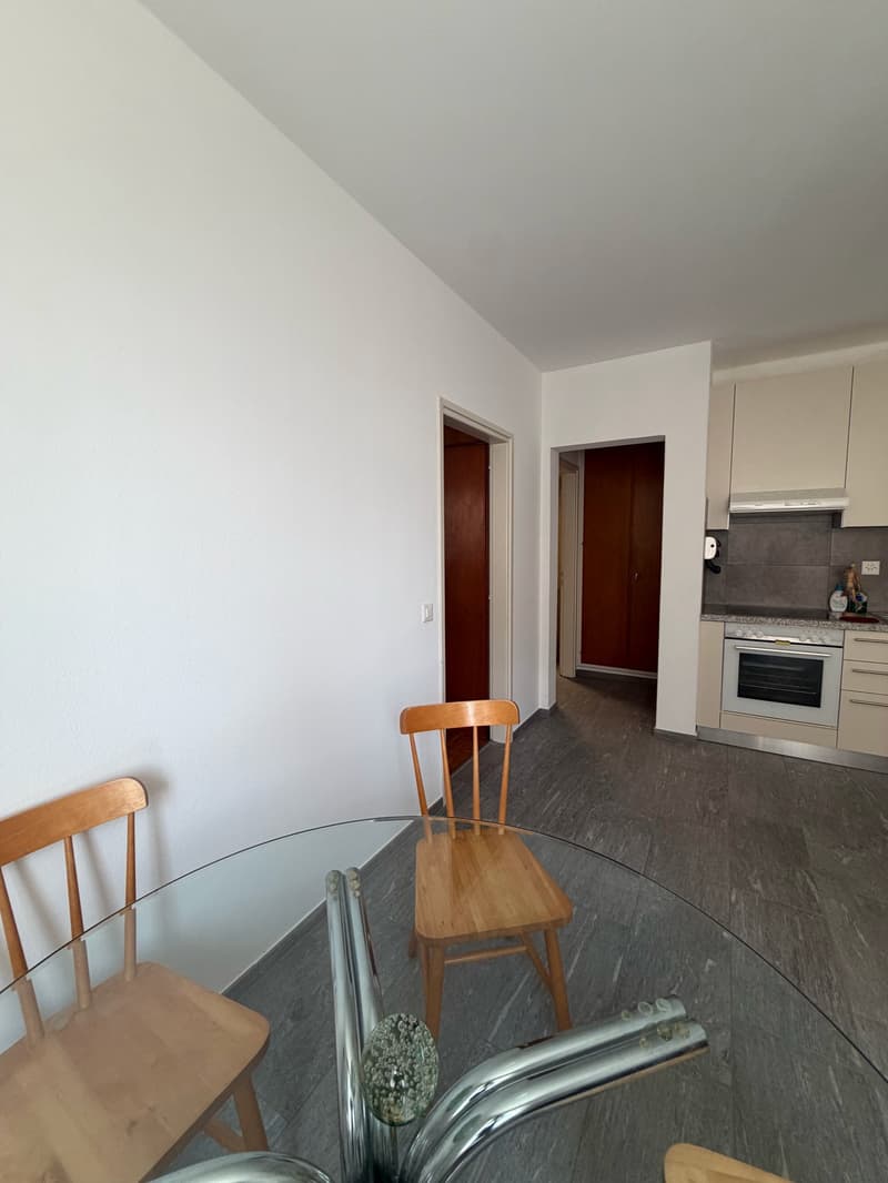 Appartement meublé avec vue panoramique à Brione sopra Minusio (5)