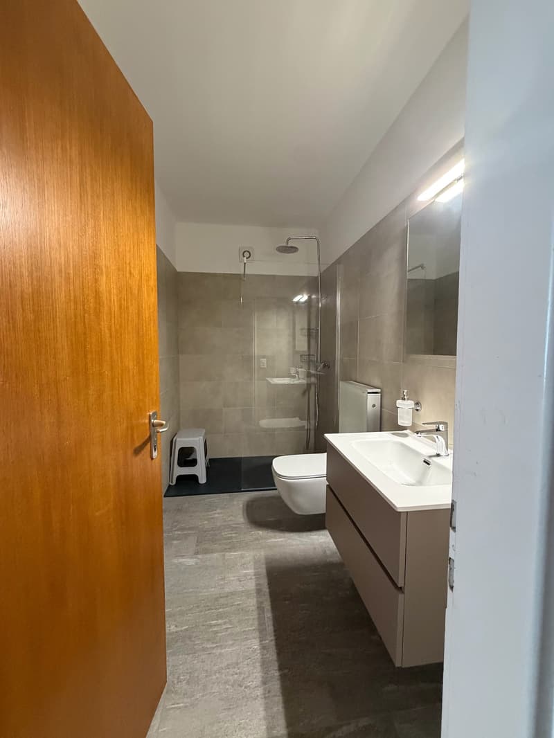 Appartement meublé avec vue panoramique à Brione sopra Minusio (3)
