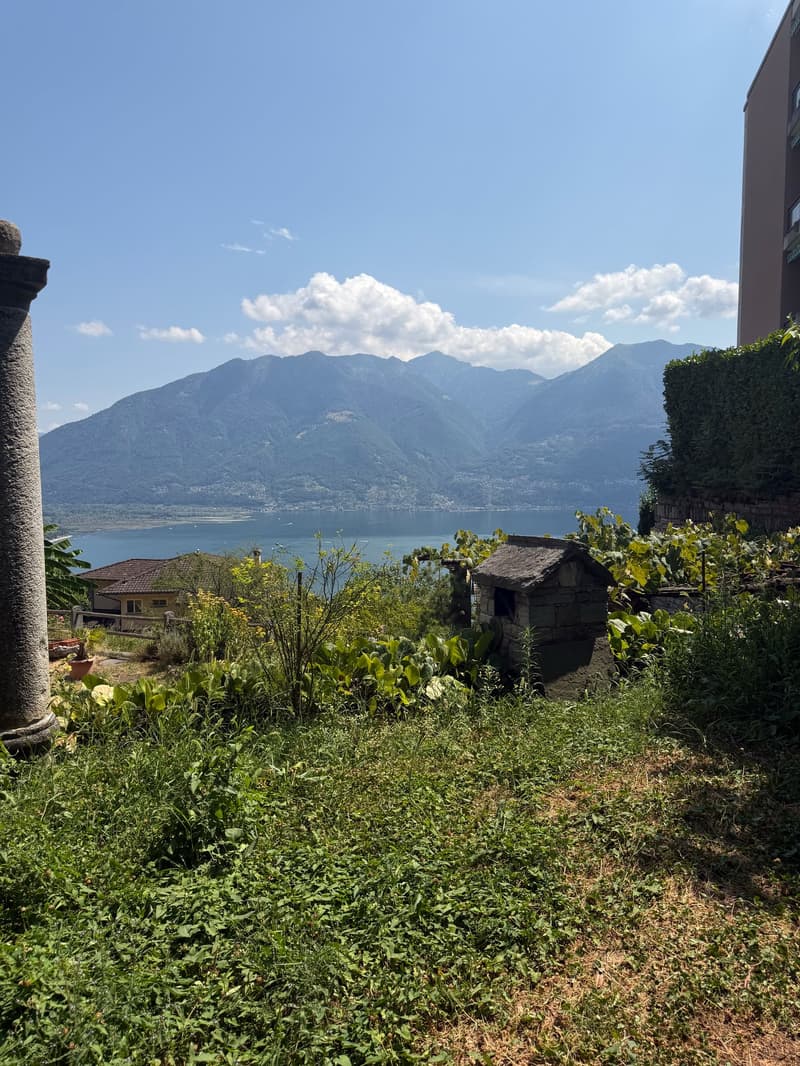 Fully renovated apartment with lake view - Brione sopra Minusio – available immediately (8)