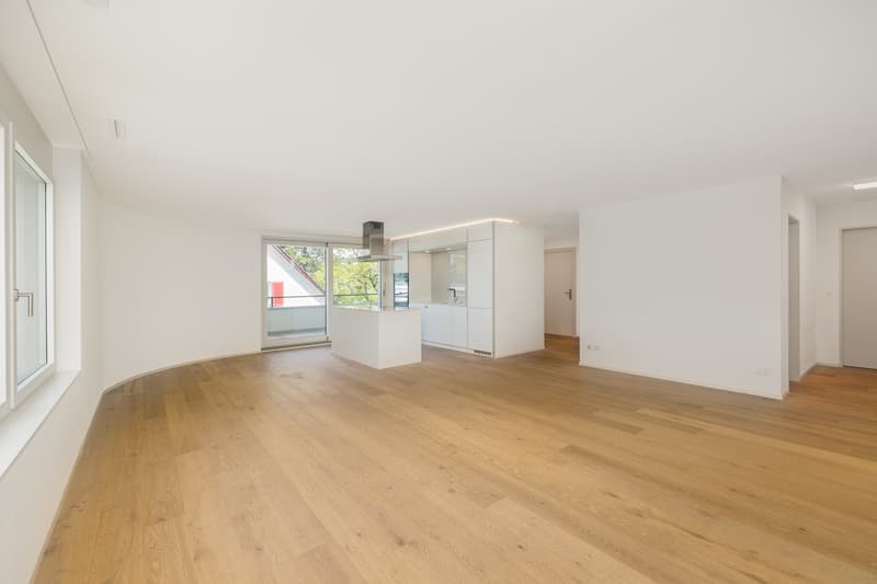 Helle und moderne 5.5 Zimmerwohnung (3)