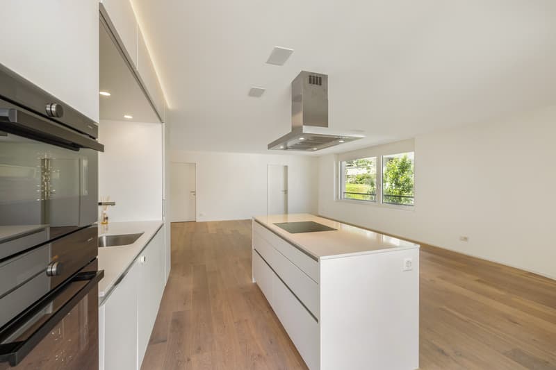Helle und moderne 5.5 Zimmerwohnung (4)