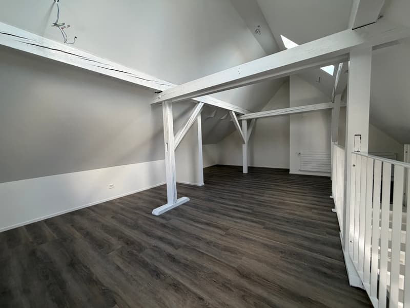 Charmant appartement de 3,5 pièces au dernier étage sur Witikonerstrasse à Zurich (7)