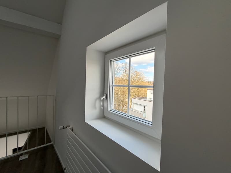 Charmant appartement de 3,5 pièces au dernier étage sur Witikonerstrasse à Zurich (6)