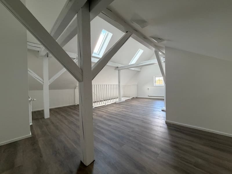 Charmant appartement de 3,5 pièces au dernier étage sur Witikonerstrasse à Zurich (8)