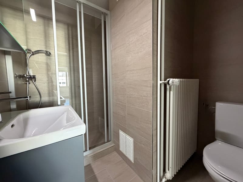 Charmant appartement de 3,5 pièces au dernier étage sur Witikonerstrasse à Zurich (3)