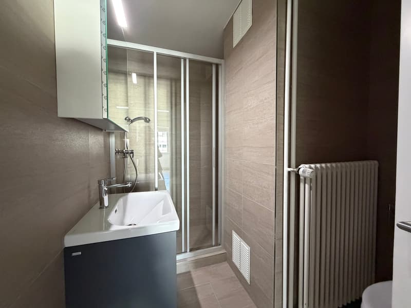 Charmant appartement de 3,5 pièces au dernier étage sur Witikonerstrasse à Zurich (4)